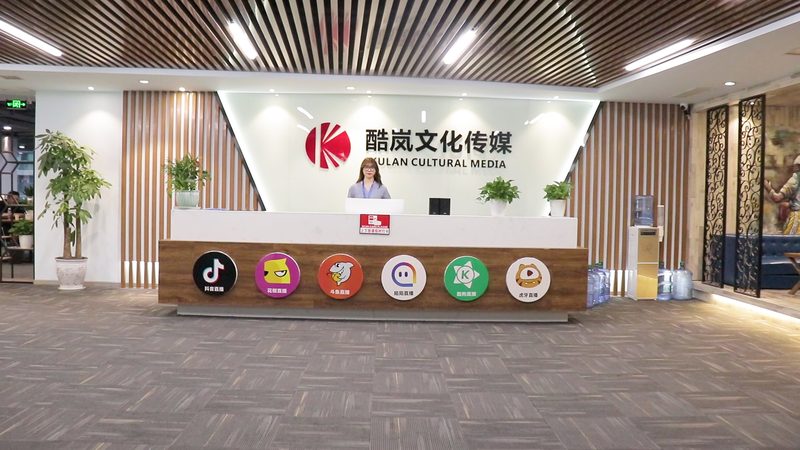企业宣传片MG动画：收费标准背后的考量因素