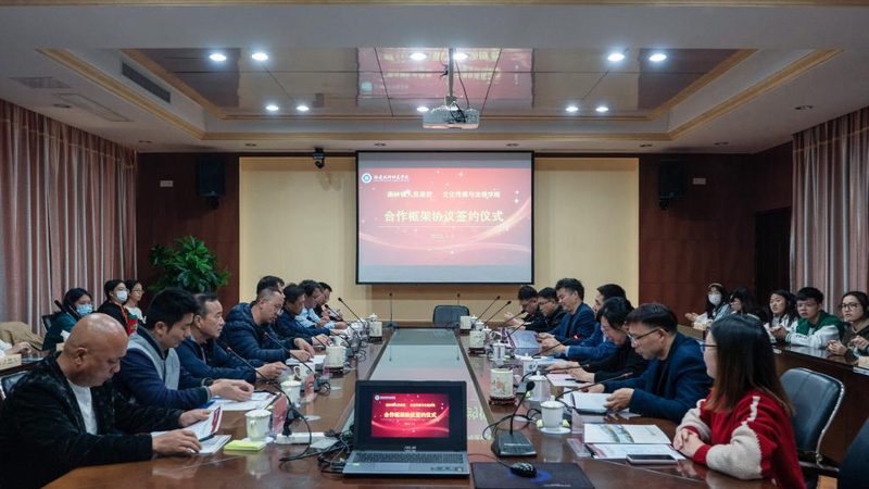 vi设计公司合同模板对比